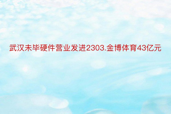 武汉未毕硬件营业发进2303.金博体育43亿元