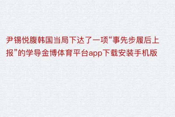 尹锡悦腹韩国当局下达了一项“事先步履后上报”的学导金博体育平台app下载安装手机版