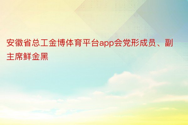 安徽省总工金博体育平台app会党形成员、副主席鲜金黑